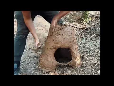 How to make a single room || In the Jungle ||