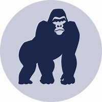 BlueKong Networks | LinkedIn