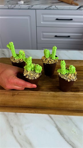 Mini Cactus Chocolate Cups 🌵✨ #cactuschocolate #minidesserts #diytreats | Beamish DIY