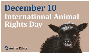 International Animal Rights Day