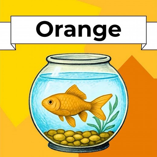 Orange Color Book for Kids 🎨 Read Aloud for Preschool & Kindergarten Colors #colorsforkids #colors