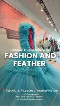 Fashion and Feather: on display at the Cleveland Museum of Natural History