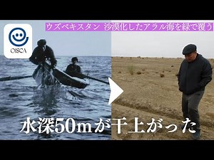 【ウズベキスタン】アラル海の沙漠緑化プロジェクト（海外植林活動）
