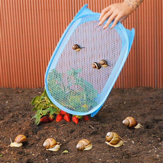 71K views · 204 reactions | No More Bugs! These Everyday Tricks Help Keep Them Far Away | 3-Minute Hacks | Facebook