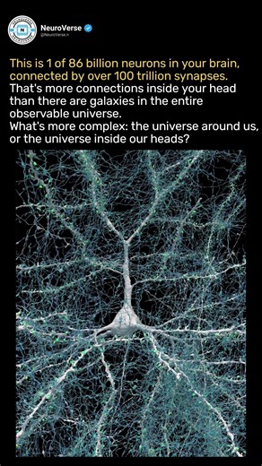The Human Brain Is More Complex Than You Think #shorts