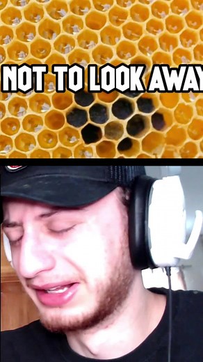 Too scary@Wubzzy #filter #willian #tiktok #usa #magic #wubbzy #usa #fyp