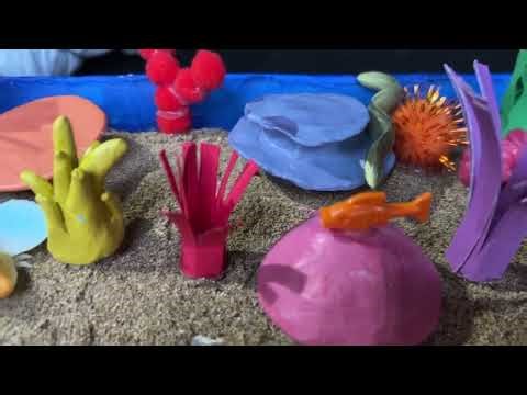 Mini New Caledonia Barrier Reef Project Video