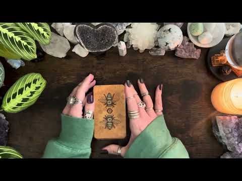 If your person is dealing with a third party energy, this reading is for you! 🐝🐝 Timeless Reading