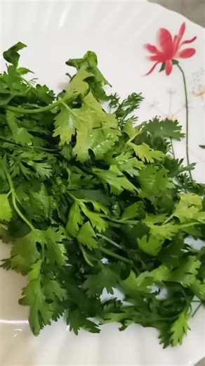 Coriander Recipes and Benefits