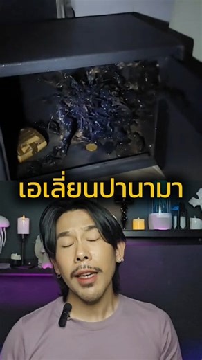 569K views · 16K reactions | ชายคนนี้เลี้ยงเอเลี่ยน Alien Panama #AlienPanama #เอเลี่ยน #เรื่องเล่า #เรื่องสั้น #UFO #เอเลี่ยนปานามา Cr. https://colombiaone.com/2025/09/21/panama-alien-tiktok-environmental-awareness/ | NickymouthChannel | Facebook