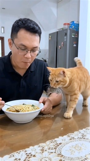 The Orange Cat’s Special Topping 😂