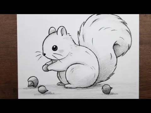 Beautiful squirrel drawing, squirrel drawing,How to Draw a squirrel drawing