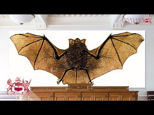 The Lost Art of Nature Printing | Pia Östlund