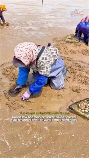 Searching for Shellfish During Low Tide #craftedeveryday