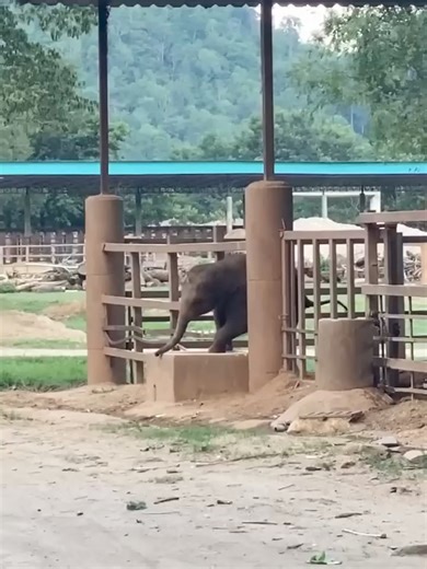 What a Sneaky & #Smart 😍 #baby. | Sweet Tino Bebes Journey Familia & Beyond