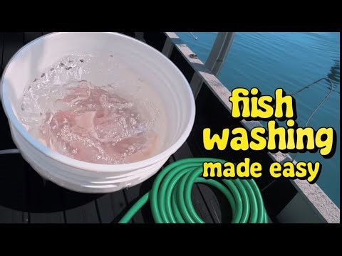 Fishing Bucket: The Easiest Way to Clean Your Catch