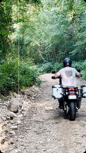 The Ornery One on Reels