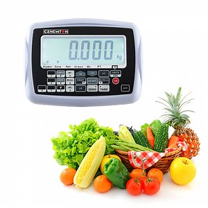 [Hot Item] Tcs 300kg Platform Scale Indicator with LCD Display