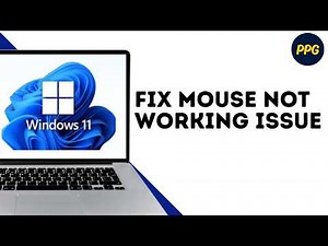 How To Fix Mouse Not Working in Windows 11 ?