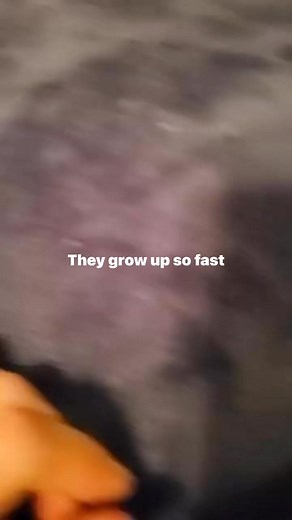 Brian Taylor on Reels