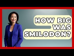 How Big Was Smilodon? - The Wild Life Explorer