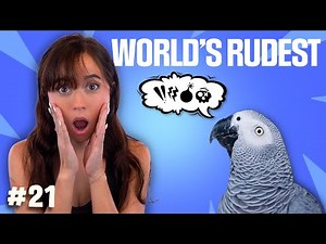 World's Rudest: Swearing Parrot Gets Taken Off Display After Saying Something Really Bad