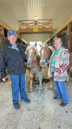 👉 Michigan Couple Bought Sight Unseen… Here’s Their HONEST Reaction!