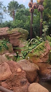 14K views · 351 reactions | Come take a stroll through Journey of Water: Inspired by Moana, an all new attraction at EPCOT officially opening on October 16th.  | PURE MAGIC VACATIONS | Facebook