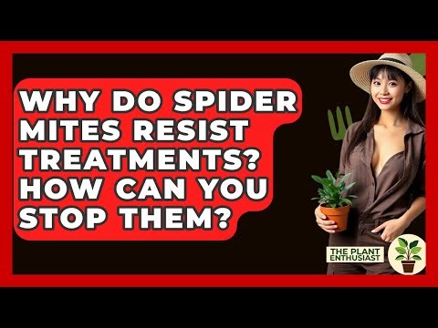 Why Do Spider Mites Resist Treatments? How Can You Stop Them? - The Plant Enthusiast