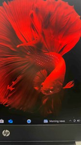 Yash computers hp laptop and Ryzen 5pro 256gb ssd 8gb ram 14inch display | Yasvanth Yasvanth