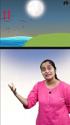 Land breeze | Thermal properties of matter Class 11 Physics with Roshni mam #concepthogacrystalclear