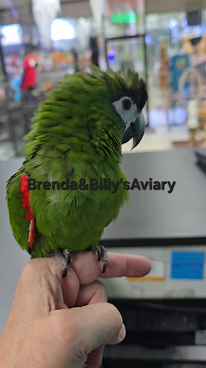 12 reactions | I cant stress enough.... Quarantine and disease...