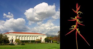 Stacked Macro Photos of Exotic Plants Using the Nikon D850