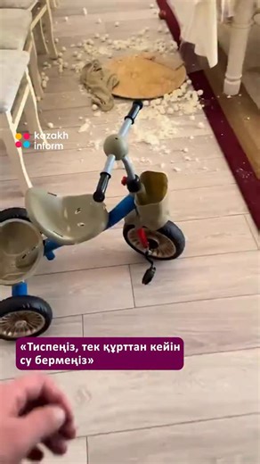 kazakh.inform on Instagram: "Анасы қонақ бөлмедегі үстелдің үстіне құрттың пішінін шығарып, кептіруге қойып кеткен. Алайда кішкентай бұзық қызы бәрін ыдысымен бірге жерге аударып алған. Бірақ қызы ештеңе болмағандай, жерге түскен құртты жайбарақат жеп отырған. Бұл көрініс желі қолданушыларын күлдіріп жіберді. Оқырмандар: «Тиспеңіз, тек құрттан кейін су бермеңіз» – деп әзілдеп пікір қалдырды."