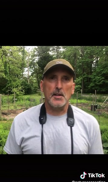 Encountering a Fisher on a Cape Cod Hike