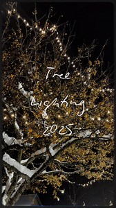 1.4K reactions · 60 shares | This past Tuesday was the annual tree lighting ceremony on campus! Hosted by the Hurricane Society, Maranatha students gathered near Cedarholm Library to sing Christmas carols, snack on cookies, and ring in the Christmas season. | Maranatha Baptist University | Facebook