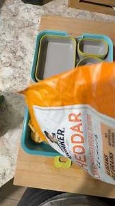 What my son who has autism ate today! 🍎 #food #lunchbox #autism