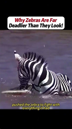 #handwork #Manufacturing #Build #Creativity #Repair #DIY #challenge #Treasurehunt #animalworld