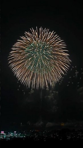 🔥 Diwali Special “World’s Biggest Firework Explosion 🌌 | Record-Setting Firework Shell” #shorts