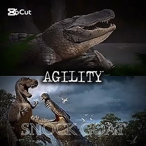 Deinosuchus vs Purussaurus | request by ‪@MegGamZilla_Just‬ #edit #dinosaur #battle #versus