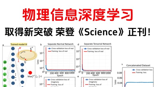 荣登《Science》正刊！物理信息深度学习取得新突破！