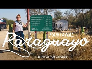 Estación tres Gigantes, Pantanal Paraguayo🇵🇾 Bahía Negra, Chacó Paraguayo