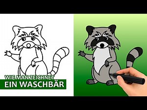 Wie Man Einen Waschbären Zeichnet (Einfaches Zeichentutorial)