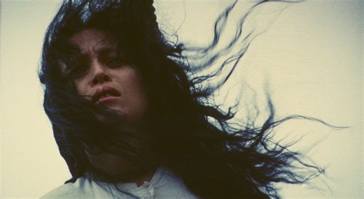 Wild Flowers (2000) | Facts - Facts | ČSFD.cz