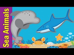 Learn Sea Animals & Water Animals for Kids | Video Flash Cards | Kindergarten | Fun Kids English