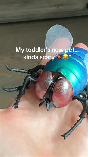 Baby Cozy on Instagram: "My toddler’s new ‘pet’… kinda scary 🐞😂 Found this realistic remote-controlled fly on Amazon, and honestly — it looks TOO real. It crawls, moves, even glows, and totally fooled me 😭 Perfect funny gift for kids (or your cat!) if you want a bug that actually moves. Toddler approved, mom traumatized"