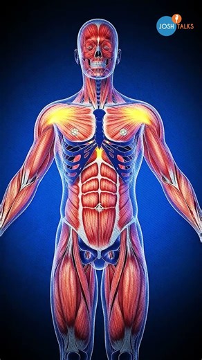 The Power of Daily Movement | Build Strength, Energy & Stamina | ‪@DrChiragBhandari‬ | Josh Talks