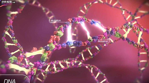 3D动画演示：究竟什么是lncRNA