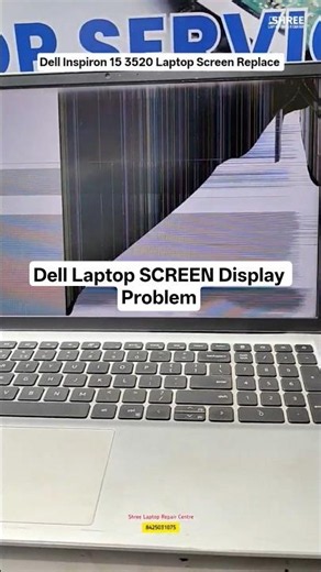Dell Laptop Screen Display Problem | Laptop Screen Change Replace