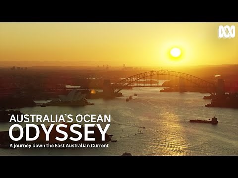 Float above the East Australian Current (5 minute calming sounds) | Australia's Ocean Odyssey